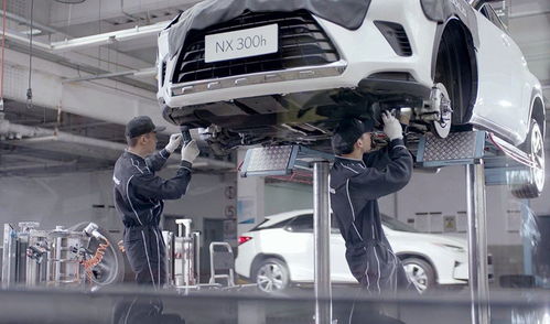 不想賺我們的錢？這個品牌火到加價，但為何不國產(chǎn)